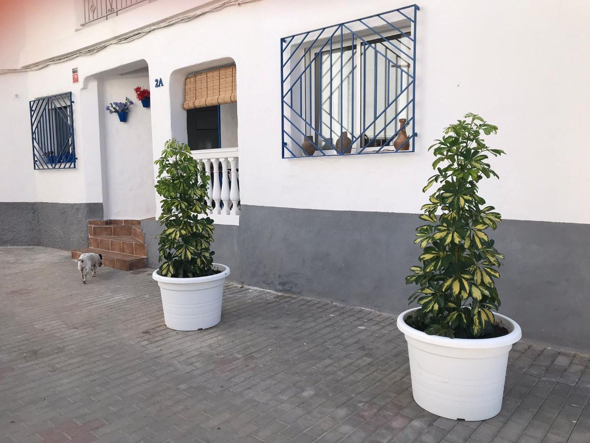 Apartamentos Lolitalola Holidays Salobrena Exterior photo